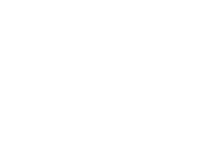 Presidents Award