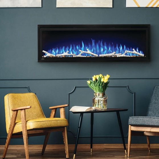 Napoleon Entice™ NEFL50CFH