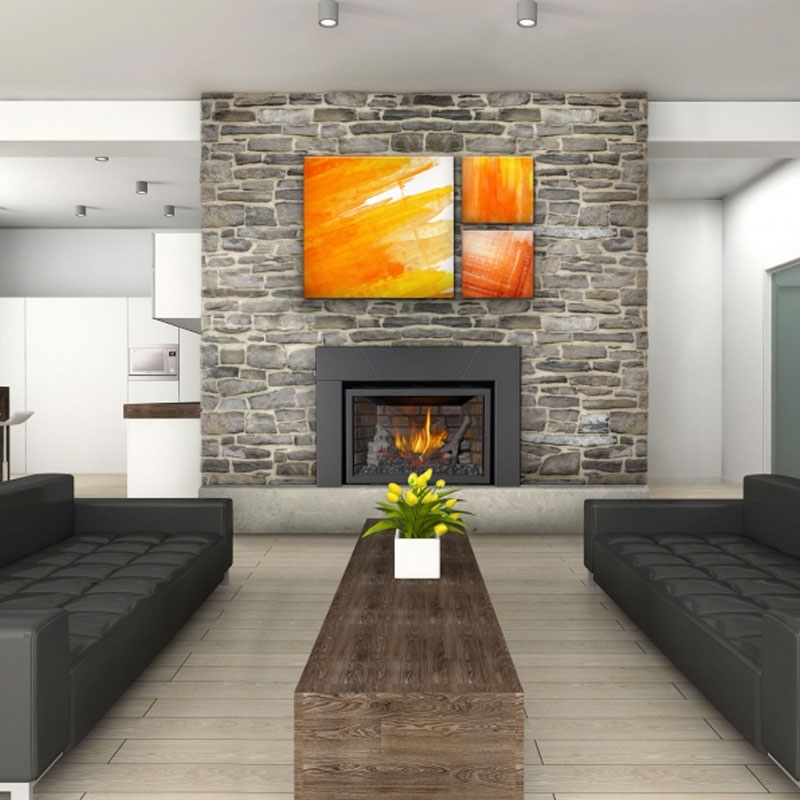 Napoleon Infrared X3 - XIR3